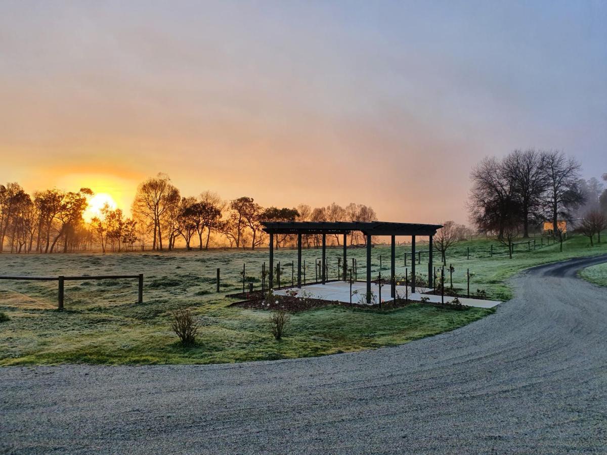 Tallawarra Homestead Tonimbuc Exteriér fotografie