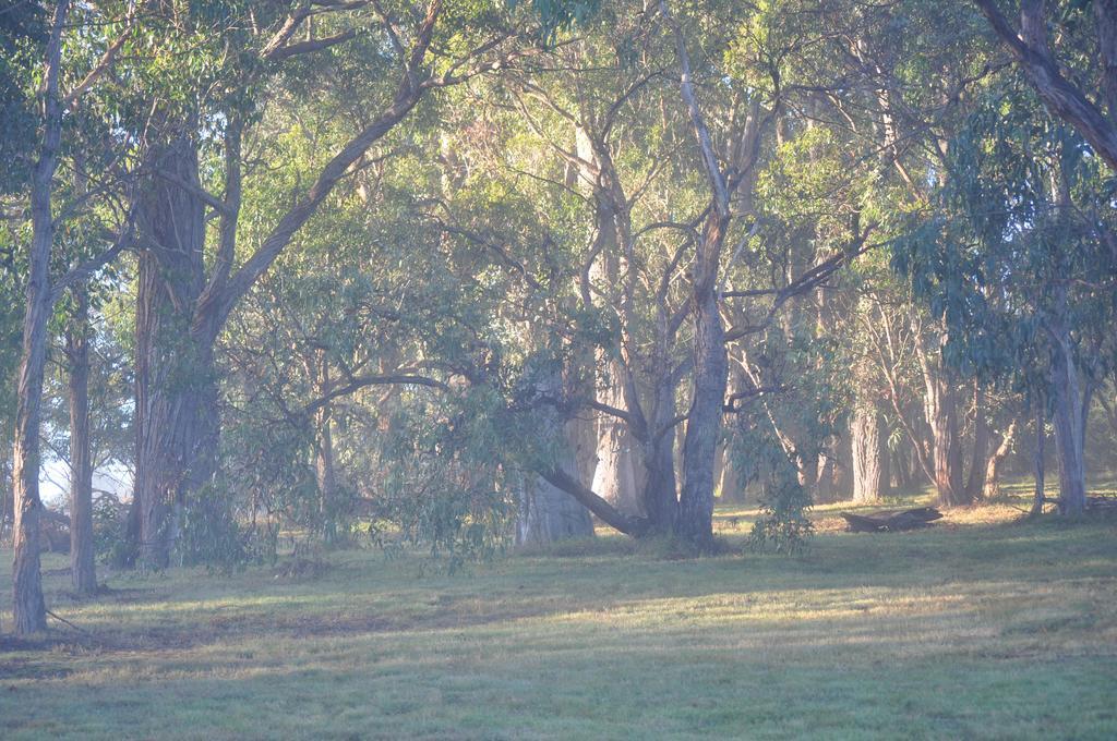 Tallawarra Homestead Tonimbuc Exteriér fotografie