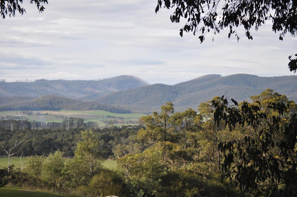 Tallawarra Homestead Tonimbuc Exteriér fotografie