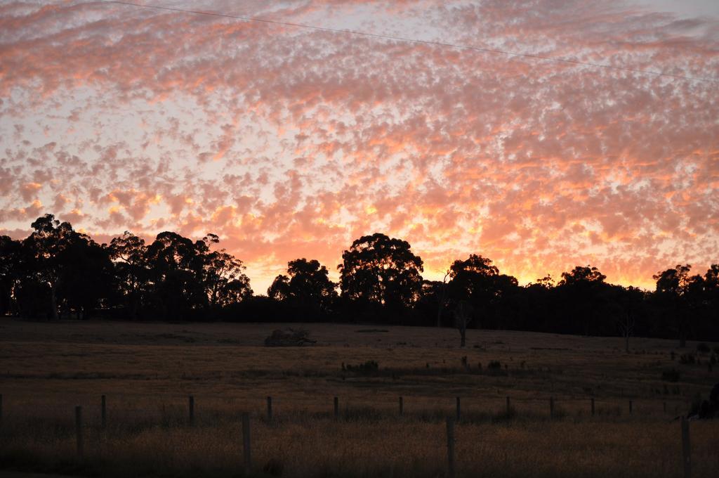 Tallawarra Homestead Tonimbuc Exteriér fotografie